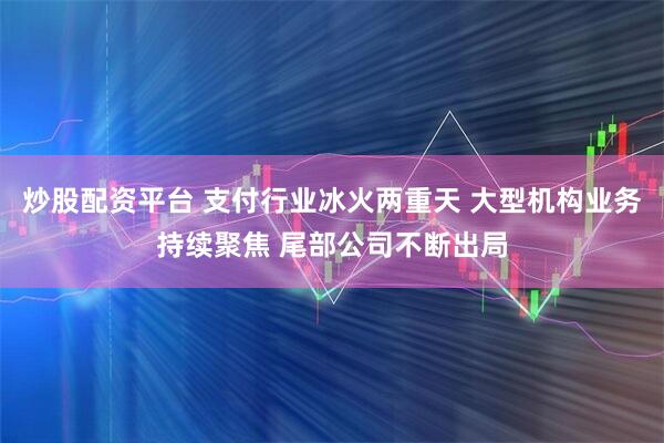 炒股配资平台 支付行业冰火两重天 大型机构业务持续聚焦 尾部公司不断出局