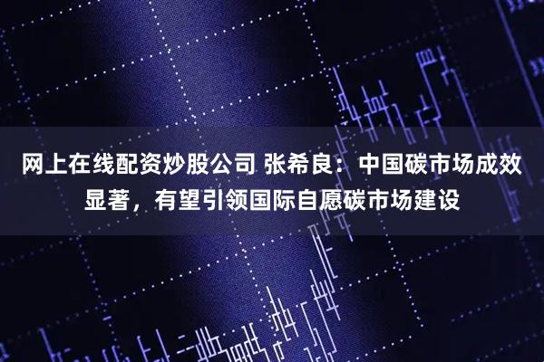 网上在线配资炒股公司 张希良：中国碳市场成效显著，有望引领国际自愿碳市场建设