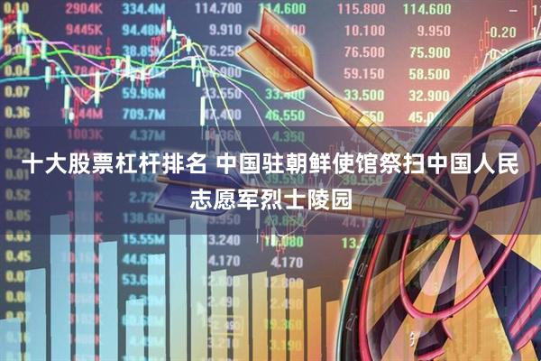 十大股票杠杆排名 中国驻朝鲜使馆祭扫中国人民志愿军烈士陵园