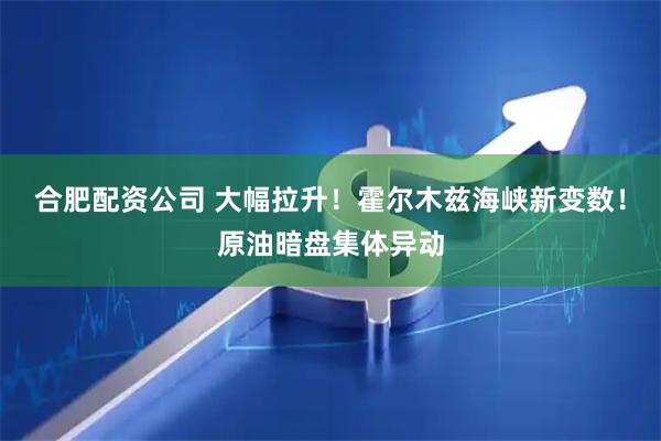 合肥配资公司 大幅拉升！霍尔木兹海峡新变数！原油暗盘集体异动